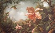 Martin Johnson Heade The Hummingbirds and Two Varieties of Orchids China oil painting reproduction